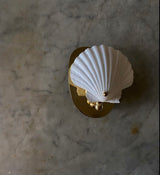 Scallop Shell Electric Sconce