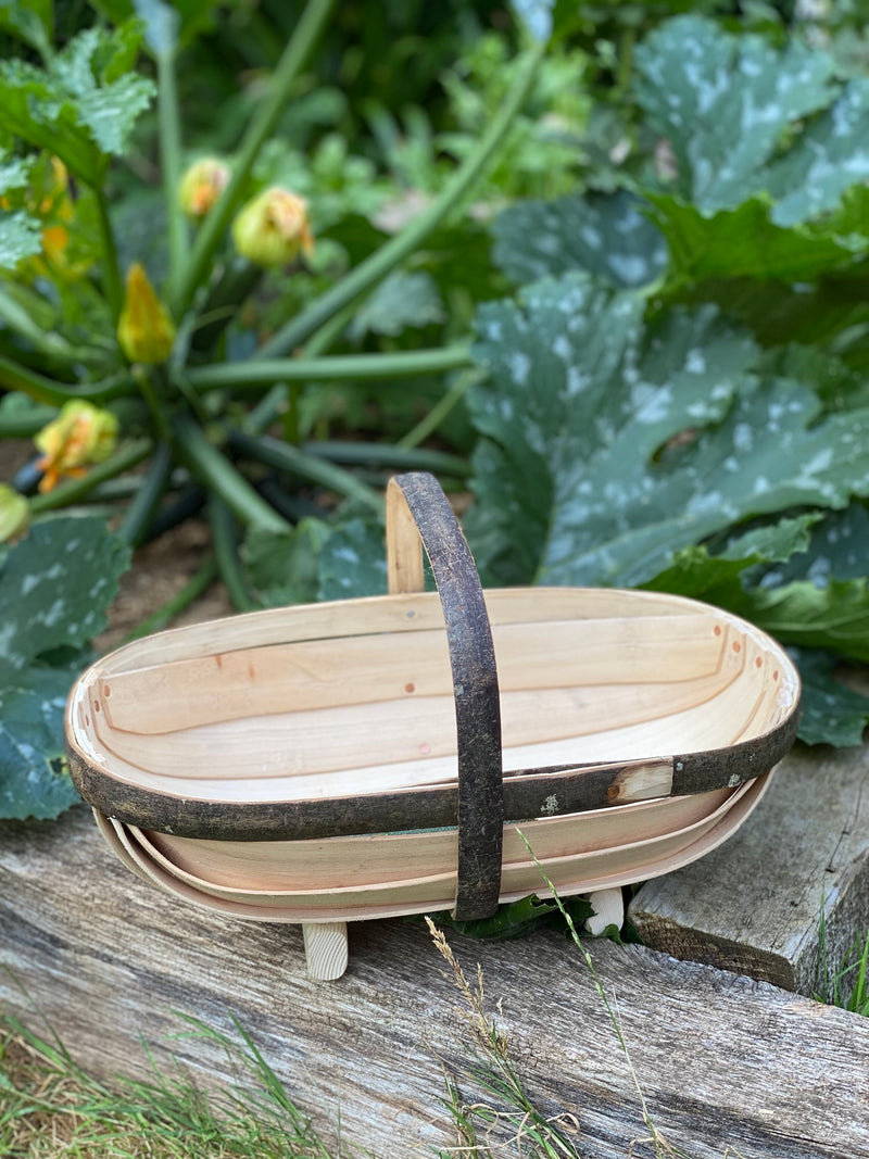 Royal Sussex Willow and Sweet Chestnut Trugs