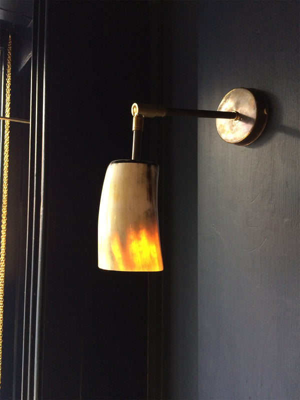 Horn & Brass Wall Light - Charlotte Packe
